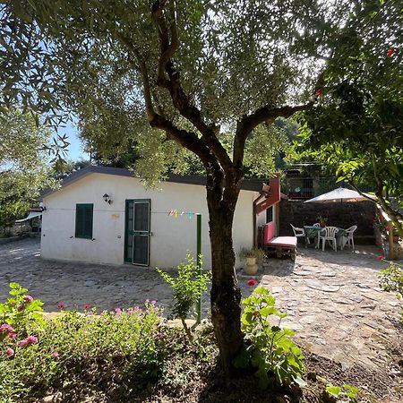 Casa Vacanze Alfano アシェーア エクステリア 写真