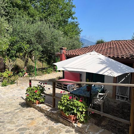 Casa Vacanze Alfano アシェーア エクステリア 写真