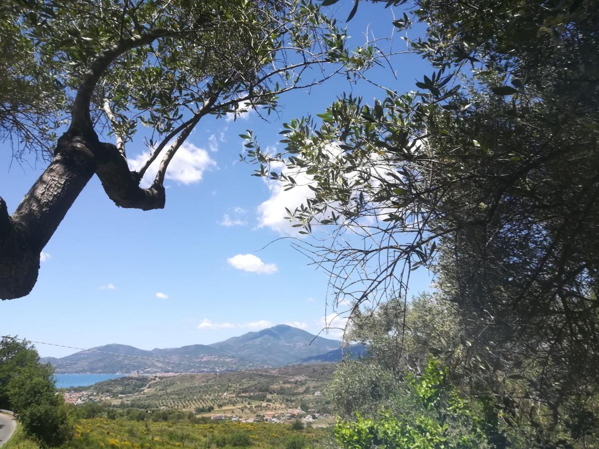 Casa Vacanze Alfano アシェーア エクステリア 写真