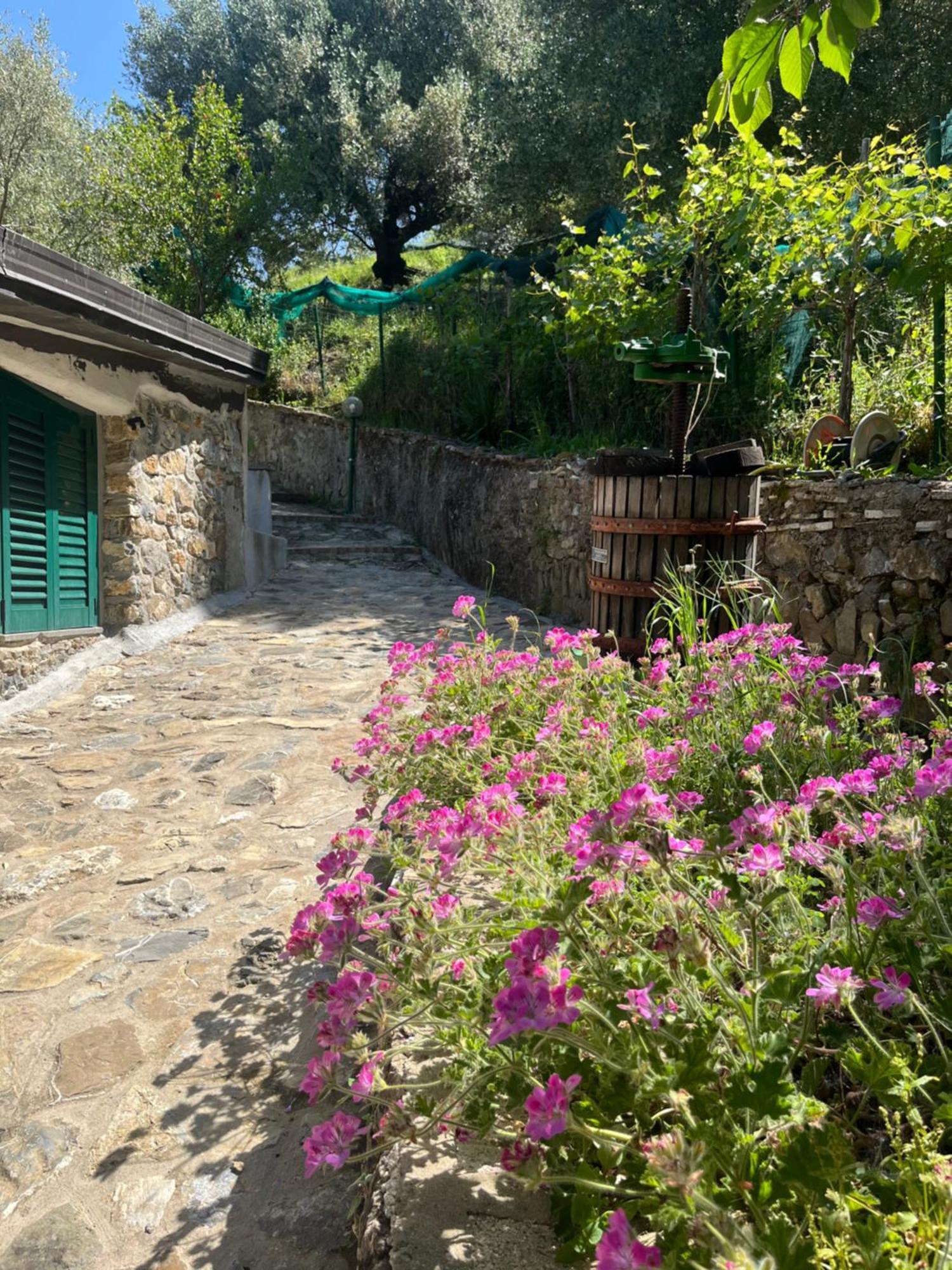 Casa Vacanze Alfano アシェーア エクステリア 写真
