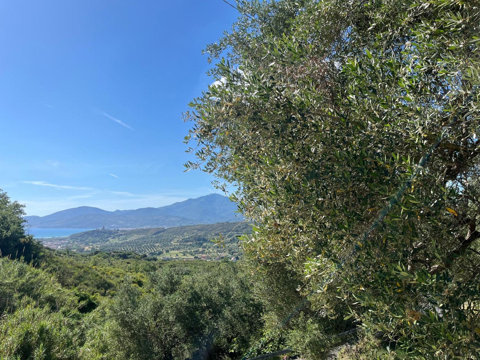 Casa Vacanze Alfano アシェーア エクステリア 写真